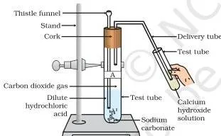 Acids, Bases and Salts Class 10: Chapter 2 PDF Passing carbon dioxide gas through calcium hydroxide solution