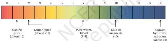 Acids, Bases and Salts Class 10: Chapter 2 PDF PH of some common substances shown on a pH paper (colours are only a rough guide)