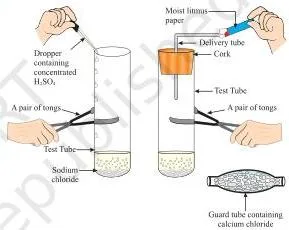 Acids, Bases and Salts Class 10: Chapter 2 PDF Preparation of HCl gas