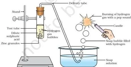 Acids, Bases and Salts Class 10: Chapter 2 PDF Reaction of zinc granules with dilute sulphuric acid and testing hydrogen gas by burning