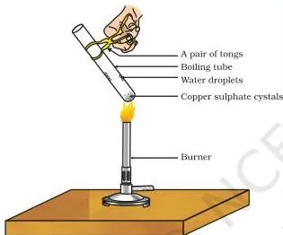 Acids, Bases and Salts Class 10: Chapter 2 PDF Removing water