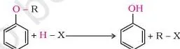 Alcohols Phenols and Ethers Class 12 Notes Cleavage of an alkyl aryl ether by HI showing the alkyl-oxygen bond breaking to give phenol and alkyl iodide
