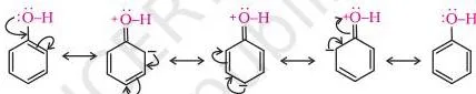 Alcohols Phenols and Ethers Class 12 Notes Resonance structures of phenoxide ion showing delocalisation of the negative charge into the benzene ring