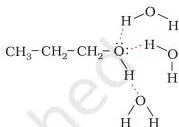 Alcohols Phenols and Ethers Class 12 Notes Diagram of an alcohol molecule forming hydrogen bonds with surrounding water molecules, explaining solubility