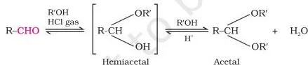 Acetal formation: dry hydrogen chloride protonates the carbonyl oxygen, increasing the carbon's electrophilicity so the alcohol can attack