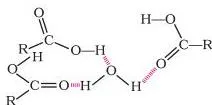 Two carboxylic acid molecules held together by two intermolecular hydrogen bonds in a cyclic dimer that survives in the vapour phase