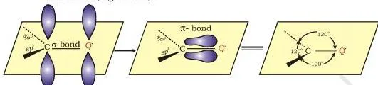 Orbital diagram showing the planar trigonal sigma framework of the carbonyl carbon with the pi electron cloud above and below the plane