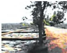 An Imperial Capital Class 12: Vijayanagara Chapter PDF About thirty building complexes have been identified as palaces.