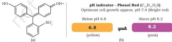 Structure of phenol red beside culture medium samples showing its colour change: yellow at acidic pH, bright red at pH 7.4 and pink at alkaline pH