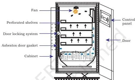 A CO₂ incubator, the closed cabinet that holds cultures at 37 degrees Celsius with a 5 to 10 percent CO₂ atmosphere and around 95 percent relative humidity