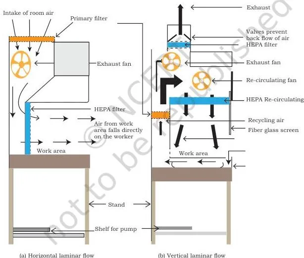 Two laminar flow hoods compared: in the horizontal hood air blows toward the operator, while the vertical down-flow hood sends filtered air onto the work area and protects the worker