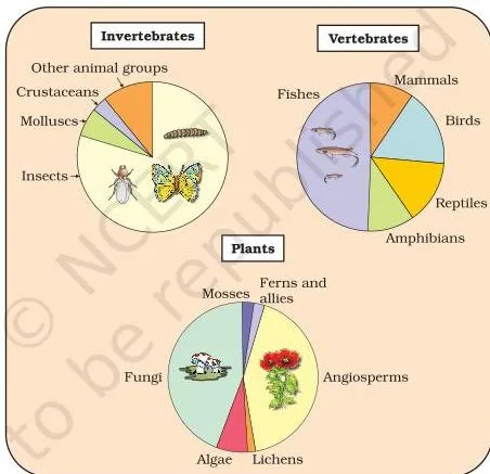 Biodiversity and Conservation Class 12: NCERT Chapter 13 PDF Proportionate representation of global biodiversity in which animals occupy the largest segment, insects dominate the animal group, plants form a smaller segment, and fungi outnumber the vertebrates