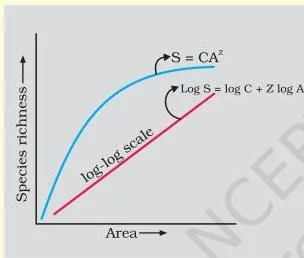 Biodiversity and Conservation Class 12: NCERT Chapter 13 PDF Graphs of the species-area relationship in which a curved line rises steeply then flattens on ordinary axes, and the same relationship becomes a straight line when both variables are plotted on a logarithmic scale