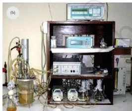 Photograph of a laboratory-scale bioreactor unit with its vessel, lid, ports and attached sensing probes