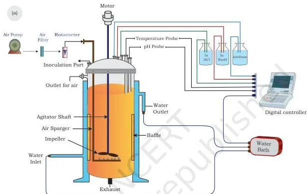 Labelled drawing of a typical cylindrical bioreactor showing the agitator shaft with impeller, sparger at the base, baffles, water jacket and temperature and pH probes