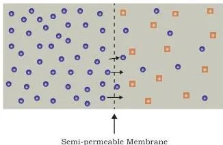 Dialysis diagram showing a selectively permeable membrane through which low molecular weight solutes cross from high to low concentration while larger molecules remain behind