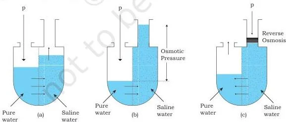 Three panels of reverse osmosis: osmosis moving water into the saline phase, osmotic pressure building on the saline side, and applied pressure driving water back to the pure phase