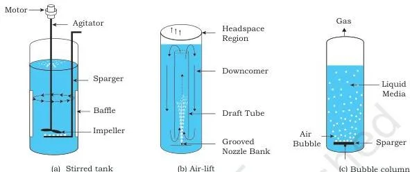 Three bioreactor designs side by side: a stirred tank reactor with agitator shaft, an air-lift reactor with a draft tube, and a bubble column reactor with sparger jets