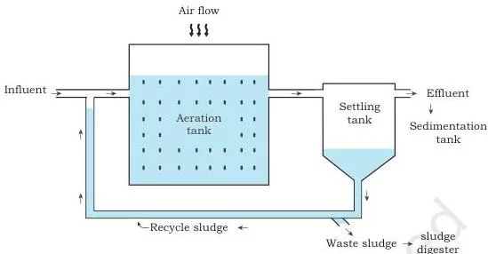 Bioremediation Class 12: NCERT Biotechnology Chapter 11 Activated sludge process diagram with an aeration tank receiving compressed air, a settling tank where sludge settles, and arrows showing part of the activated sludge recycled back to the aeration tank while the rest goes to the sludge digester