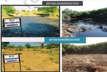 Bioremediation Class 12: NCERT Biotechnology Chapter 11 Bioreactors for production of Oilzapper in capacities of 13 kilolitres, 1.5 kilolitres, 300 litres, 30 litres and 10 litres for large-scale production