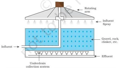 Bioremediation Class 12: NCERT Biotechnology Chapter 11 Sketch of a trickling filter with rotating sprinkler arms spraying primary-treated sewage over a stone bed coated with a microbial film and treated effluent collected at the bottom