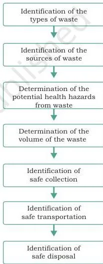 Bioremediation Class 12: NCERT Biotechnology Chapter 11 Flow diagram of the stages of solid waste management from waste generation and sorting to the two handling paths of dumping and recycling