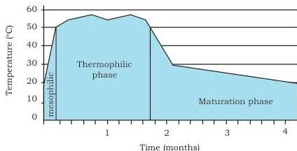 Bioremediation Class 12: NCERT Biotechnology Chapter 11 Curve of temperature changes during composting showing the mesophilic rise, the thermophilic plateau above 40 degrees Celsius with a 55 degree pathogen-kill point, and the long cooling tail of the maturation phase