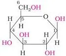 Biomolecules Class 12 Notes for CBSE Board Revision Haworth structure of alpha-D-glucopyranose, the six-membered pyranose ring form of glucose with the anomeric hydroxyl group at C1