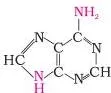 Carbohydrates Class 12: NCERT Biomolecules Chapter (Unit 10) The four DNA bases adenine, guanine, cytosine and thymine with their heterocyclic ring structures