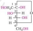 Biomolecules Class 12 Notes for CBSE Board Revision Structure of furan, a five-membered ring of four carbon atoms and one oxygen atom that gives furanose structures their name