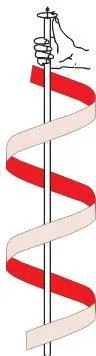 Carbohydrates Class 12: NCERT Biomolecules Chapter (Unit 10) Alpha helix structure of a protein, a right-handed coil held by hydrogen bonds between adjacent turns
