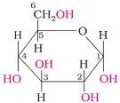 Biomolecules Class 12 Notes for CBSE Board Revision Structure of pyran, a six-membered ring of five carbon atoms and one oxygen atom that gives pyranose structures their name