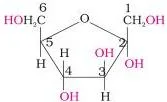 Carbohydrates Class 12: NCERT Biomolecules Chapter (Unit 10) Haworth projections of the alpha and beta anomers of fructose showing the five-membered furanose ring