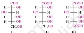 Carbohydrates Class 12: NCERT Biomolecules Chapter (Unit 10) Fischer projections of glucose and its oxidation products gluconic acid and saccharic acid, showing the spatial arrangement of the OH groups