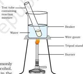 Carbon and its Compounds Class 10: Chapter 4 PDF Download Test tube warmed in a water bath for ester formation from ethanoic acid and ethanol with an acid catalyst