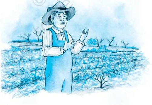 A Letter to God Class 10 Notes: Summary & Themes Illustration of the catastrophic hailstorm leaving the entire valley and cornfield white, demonstrating the sudden destruction of Lencho's livelihood.