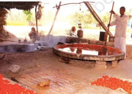 Gur being made in Haryana from sugarcane, an agro-based mill activity that generates rural employment