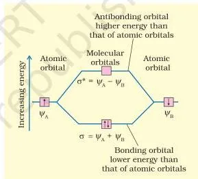 Chemical Bonding and Molecular Structure Class 11 Chapter 4 PDF Two 1s orbitals combining to give a bonding sigma orbital with electron density concentrated between the nuclei and an antibonding sigma star orbital with a nodal plane between the nuclei