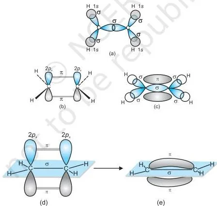 Chemical Bonding and Molecular Structure Class 11 Chapter 4 PDF Ethene molecule with an sp2-sp2 sigma bond along the C-C axis, C-H sigma bonds, and unhybridised p orbitals overlapping sidewise above and below the molecular plane to form one pi bond