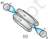 Chemical Bonding and Molecular Structure Class 11 Chapter 4 PDF Formation of sigma and pi bonds in ethyne