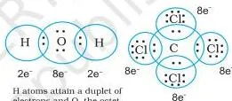 Chemical Bonding and Molecular Structure Class 11 Notes Lewis structures of water and carbon tetrachloride showing hydrogen attaining a duplet while oxygen, carbon and chlorine attain octets