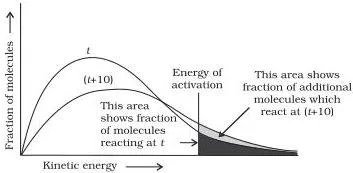 Two Maxwell-Boltzmann curves at temperatures T and T plus 10 degrees, the hotter curve broader and shifted right, with a doubled shaded fraction beyond the activation energy