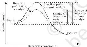 Potential energy diagram comparing the uncatalysed reaction path with a catalysed path of lower activation energy