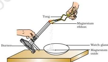 A magnesium ribbon held with tongs burning with a dazzling white flame, with white ash collecting in a watch-glass below