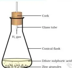 Zinc granules reacting with dilute sulphuric acid, releasing hydrogen gas bubbles