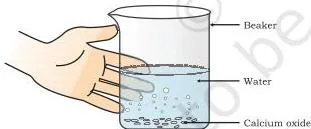 Formation of slaked lime from calcium oxide and water, used in chemical reactions class 10 important questions on combination reactions