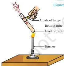 A boiling tube of lead nitrate held over a flame with brown nitrogen dioxide fumes rising from the mouth, showing thermal decomposition