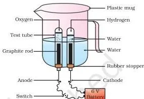 Electrolysis apparatus showing water splitting into hydrogen and oxygen at two electrodes