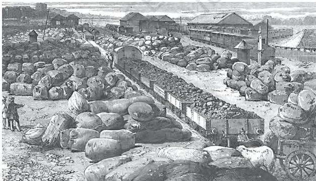 Colonialism and the Countryside: NCERT Class 12 History Chapter 1 Cotton bales stacked at the Bombay terminus of the Great Indian Peninsula Railway ready for shipment to England, with a loaded bullock cart waiting in the foreground