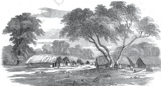 Colonialism and the Countryside: NCERT Class 12 History Chapter 1 A Santhal hill village in the lower Rajmahal hills with neat huts and cleared fields, appearing peaceful and cut off from the outside world